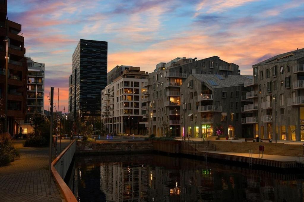 Lovely Central Apartment With Two Large Bedrooms Nearby Oslo Opera, Vis A Vis Botanical Garden ภายนอก รูปภาพ